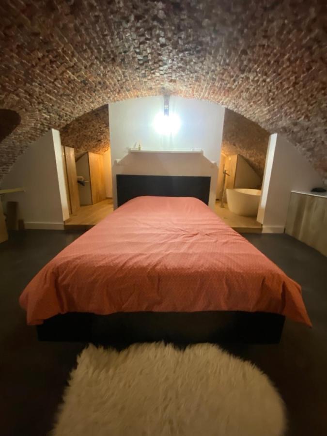 Au Beau Lieu De Metz Lägenhet Lille Exteriör bild